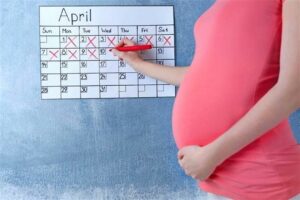 حاسبة الحمل والولادة